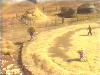 CAMPO (86)  LABRANZA